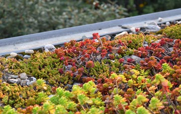 the cost of Tutnalls green roof installation