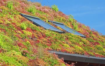 Tutnalls living roof systems